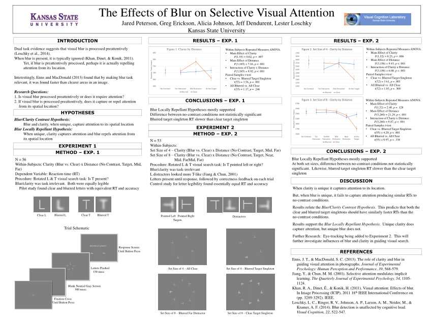 Blur and Its Impact on Visual Perception and Attention