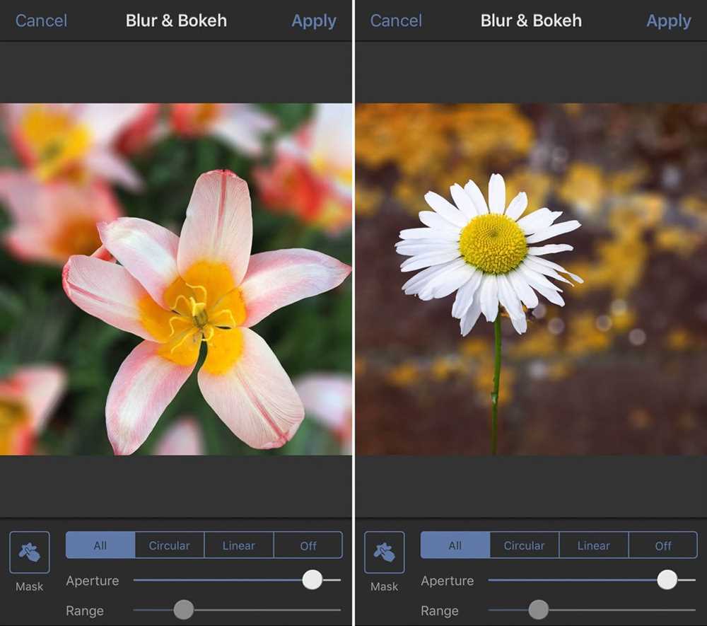 The Top 10 Blur Apps for Creating Stunning Photo Effects