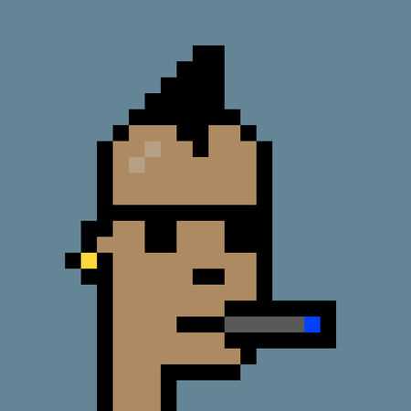 The Unique Appeal of Profile Cryptopunks NFTs